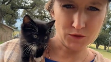 Illustration : Une semaine après avoir déménagé, une mère de famille endeuillée voit un chaton apparaître comme par magie dans son nouveau jardin