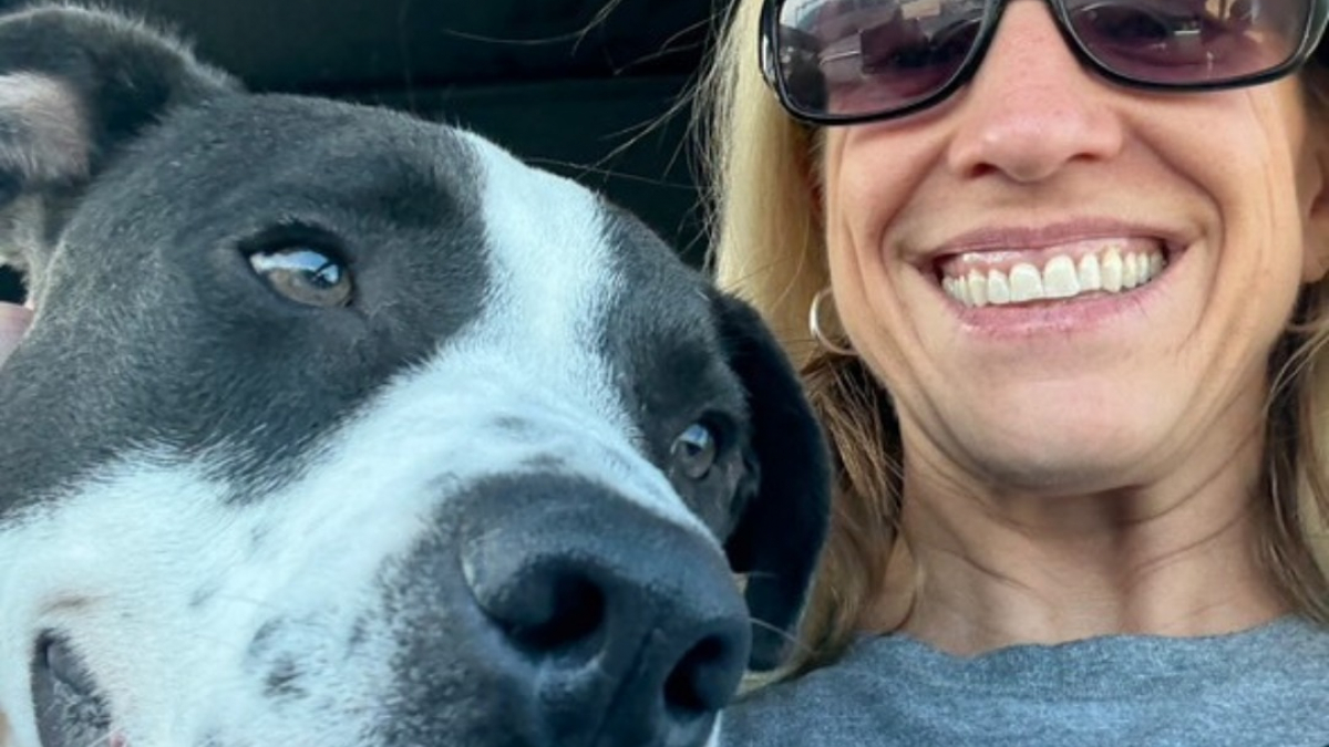 Illustration : "Inconsolable après la perte brutale de son Golden Retriever, cette famille retrouve le sourire grâce à un chien maltraité"