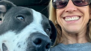 Illustration : Inconsolable après la perte brutale de son Golden Retriever, cette famille retrouve le sourire grâce à un chien maltraité