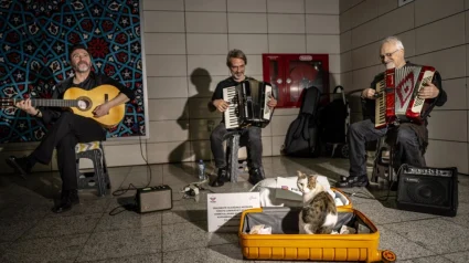 Illustration : Toute la journée et depuis des années, ce chat mélomane accompagne les musiciens d’une gare 