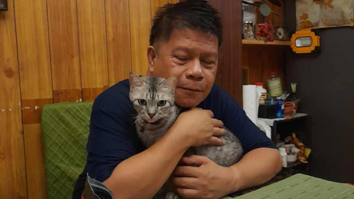 Illustration : "En faisant tomber un ordinateur, ce chat sauve toute sa famille qui dormait lors d'une inondation"