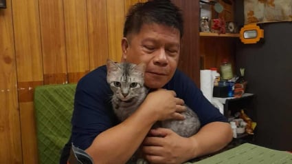 Illustration : En faisant tomber un ordinateur, ce chat sauve toute sa famille qui dormait lors d'une inondation