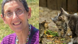 Illustration : « Une âme d'une rare sensibilité et d'une grande empathie », une femme lègue plus de 150 000 euros à un refuge pour chats (vidéo)