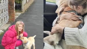 Illustration : « Son souvenir me fortifie et son esprit me rappelle pourquoi je me bats », un chien aide une jeune femme timide à construire sa vie (vidéo)