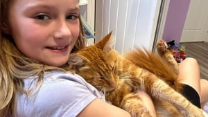Illustration : « Il était collé à elle », retrouvé 10 semaines après sa disparition, ce chat refuse de quitter les bras de sa petite maîtresse de 9 ans