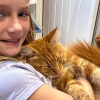 Illustration : &laquo; Il &eacute;tait coll&eacute; &agrave; elle &raquo;, retrouv&eacute; 10 semaines apr&egrave;s sa disparition, ce chat refuse de quitter les bras de sa petite ma&icirc;tresse de 9 ans