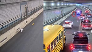 Illustration : "Automobilistes et policiers joignent leurs efforts pour sauver un chien courant à contre-sens dans un tunnel (vidéo)"