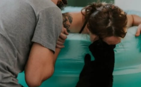 Alors que son humaine préférée accouche à la maison, ce chat reste à ses côtés pour la soutenir et adopte un comportement touchant (vidéo)