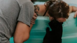 Illustration : Alors que son humaine préférée accouche à la maison, ce chat reste à ses côtés pour la soutenir et adopte un comportement touchant (vidéo)