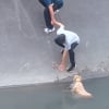 Illustration : En voyant une chienne piégée dans un canal, plusieurs passants forment une chaîne humaine pour la sauver (vidéo)