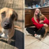 Illustration : Promise à l’euthanasie, une chienne change la vie de centaines d’autres animaux grâce à une rencontre avec une jeune femme 