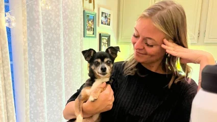 Illustration : D&eacute;cid&eacute;e &agrave; adopter un chien &acirc;g&eacute;, elle rencontre un petit Chihuahua hargneux et d&eacute;cide de lui donner une chance (vid&eacute;o)