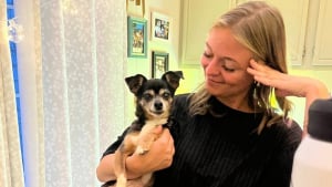 Illustration : Décidée à adopter un chien âgé, elle rencontre un petit Chihuahua hargneux et décide de lui donner une chance (vidéo)