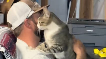 Illustration : &laquo; Les chats adorent les gens qui n&rsquo;aiment pas les chats &raquo;, une minette farouche noue un lien unique avec un homme qui n'appr&eacute;cie pas les f&eacute;lins (vid&eacute;o)