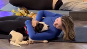 Illustration : Un chiot choisit une élève pendant un cours de yoga, cette rencontre pleine de tendresse change leurs vies