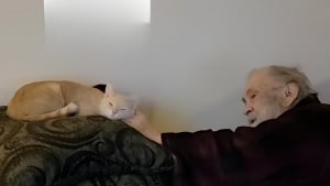 Illustration : Seul depuis longtemps, un homme âgé décide de franchir la porte d’un refuge pour rencontrer le chat le plus délaissé (vidéo)