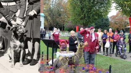 Illustration : La m&eacute;moire d'un chien h&eacute;ros de la Seconde Guerre mondiale honor&eacute;e de mani&egrave;re touchante 80 ans apr&egrave;s ses exploits