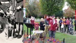 Illustration : La mémoire d'un chien héros de la Seconde Guerre mondiale honorée de manière touchante 80 ans après ses exploits