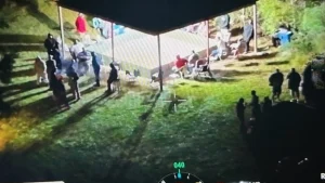 Illustration : "En sauvant 2 chiens forcés à se battre, les forces de l'ordre démantèlent tout un réseau de cruauté animale et interpellent 45 de ses acteurs"