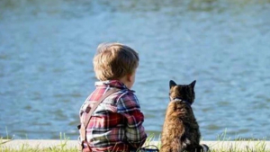 Illustration : "11 photos de chats et de chiens pour refaire le plein de bonne humeur"