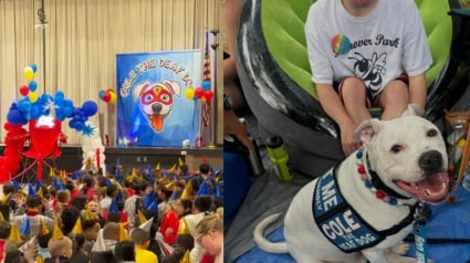 Illustration : Ce chien de th&eacute;rapie sourd a droit &agrave; une &eacute;mouvante f&ecirc;te d'anniversaire et &agrave; une chanson interpr&eacute;t&eacute;e avec la langue des signes par les &eacute;coliers