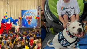 Illustration : Ce chien de thérapie sourd a droit à une émouvante fête d'anniversaire et à une chanson interprétée avec la langue des signes par les écoliers