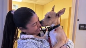 Illustration : « Je savais que je pouvais faire une différence en l'adoptant », une étudiante vétérinaire a le coup de foudre pour un chien hospitalisé après une opération délicate