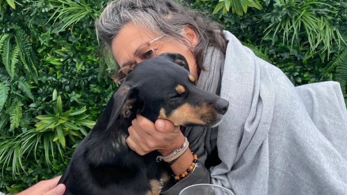 Illustration : "Des années après son adoption, une chienne se souvient de ceux qui l’ont sauvée et leur réserve un accueil plein d’émotion (vidéo)"