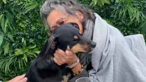 Illustration : Des années après son adoption, une chienne se souvient de ceux qui l’ont sauvée et leur réserve un accueil plein d’émotion (vidéo)