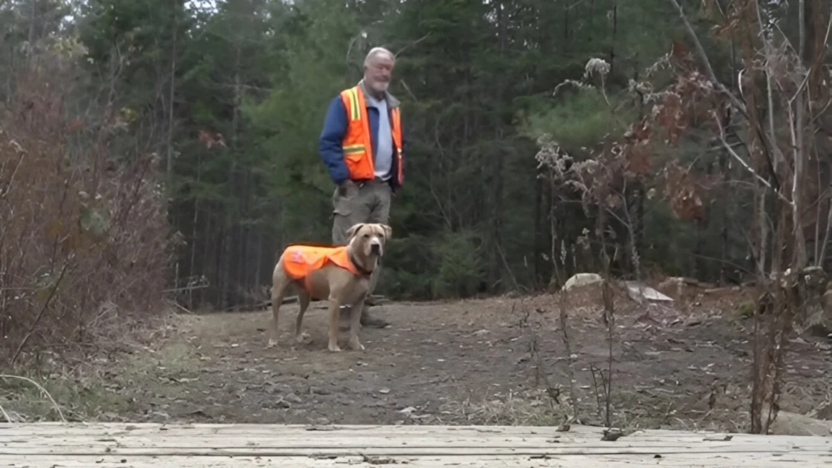 Illustration : "Un homme au grand coeur fait don d'un terrain boisé de 380 000 m2 pour rendre les chiens heureux"