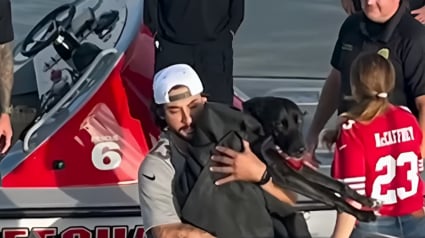 Illustration : Alors que les sauveteurs en mer s&rsquo;appr&ecirc;tent &agrave; abandonner apr&egrave;s une heure d'efforts, le museau de la chienne qu'ils recherchent surgit entre les vagues