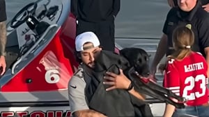 Illustration : "Alors que les sauveteurs en mer s’apprêtent à abandonner après une heure d'efforts, le museau de la chienne qu'ils recherchent surgit entre les vagues"