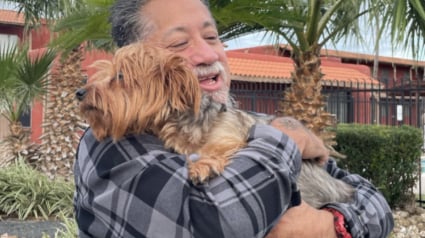 Illustration : En regagnant leur chambre d'hôtel, ils constatent que leur chienne n'est plus là puis la reconnaissent sur une petite annonce en ligne