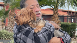 Illustration : En regagnant leur chambre d'hôtel, ils constatent que leur chienne n'est plus là puis la reconnaissent sur une petite annonce en ligne