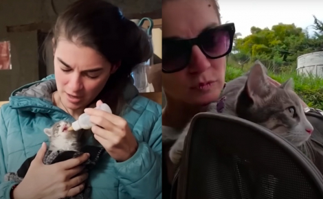 Elle découvre un minuscule chaton dans sa chambre d'hôtel et comprend vite qu'elle ne pourra plus se passer de lui malgré sa vie de globe-trotter