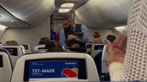 Illustration : Un chat espiègle s’échappe dans un avion bondé et s’invite dans la vérification de sécurité du steward (vidéo)