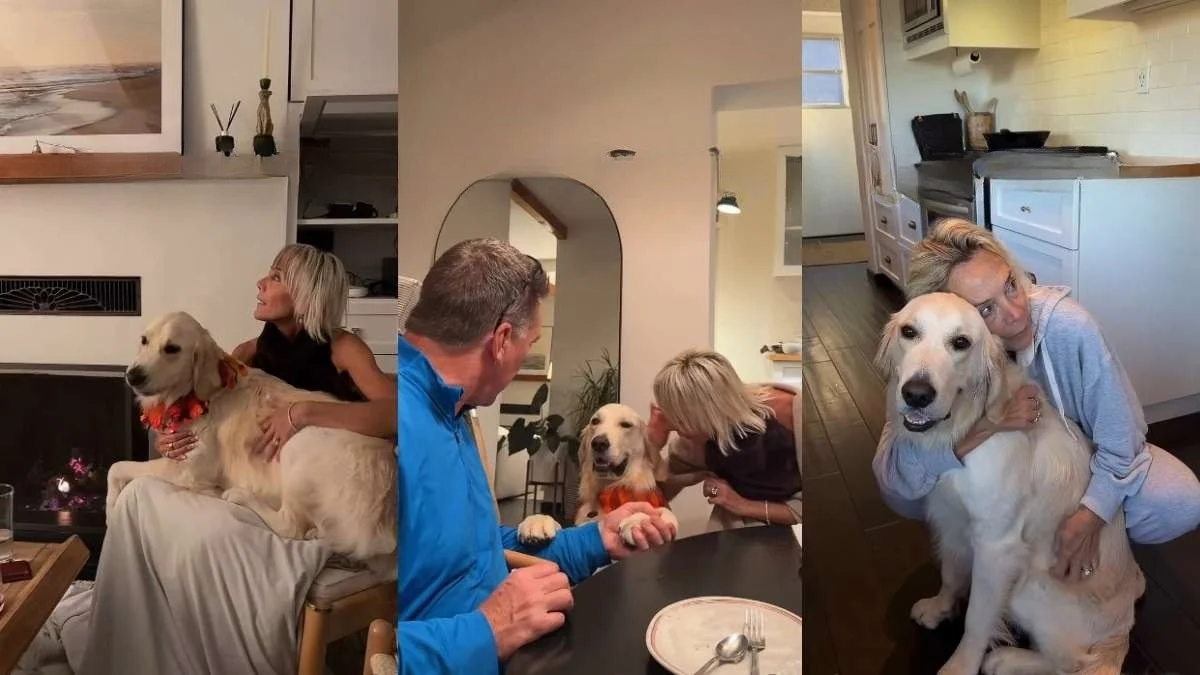 Illustration : "Ils disaient qu’adopter un chien était une mauvaise idée, ces parents sont désormais complètement gagas du toutou de la famille (vidéo)"