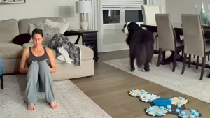 Illustration : Sa maîtresse distraite par son téléphone, ce Bouvier Bernois insiste pour lui signaler que sa soeur féline est en danger (vidéo)