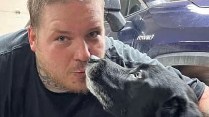 Illustration : "Je vais faire &ccedil;a toute ma vie", cet homme s'est donn&eacute; pour mission de sauver autant de chiens que possible et d'aider ceux des refuges &agrave; rebondir