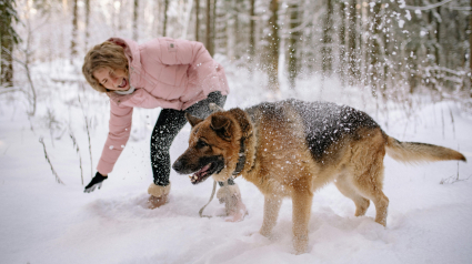 Illustration : 7 conseils pour aider son chien &acirc;g&eacute; &agrave; affronter l&rsquo;hiver
