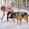 Illustration : 7 conseils pour aider son chien &acirc;g&eacute; &agrave; affronter l&rsquo;hiver