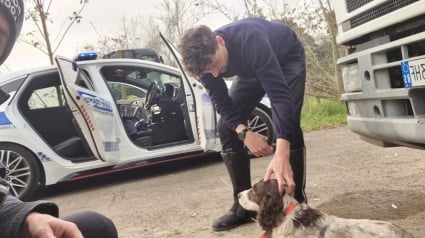Illustration : Le sort d'un chien jet&eacute; d'une voiture et se cachant sous une remorque attriste un t&eacute;moin qui alerte les secours
