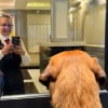 Illustration : Chaque soir, ce chiot transforme sa promenade en rendez-vous attendrissant avec une concierge de son quartier (vid&eacute;o)
