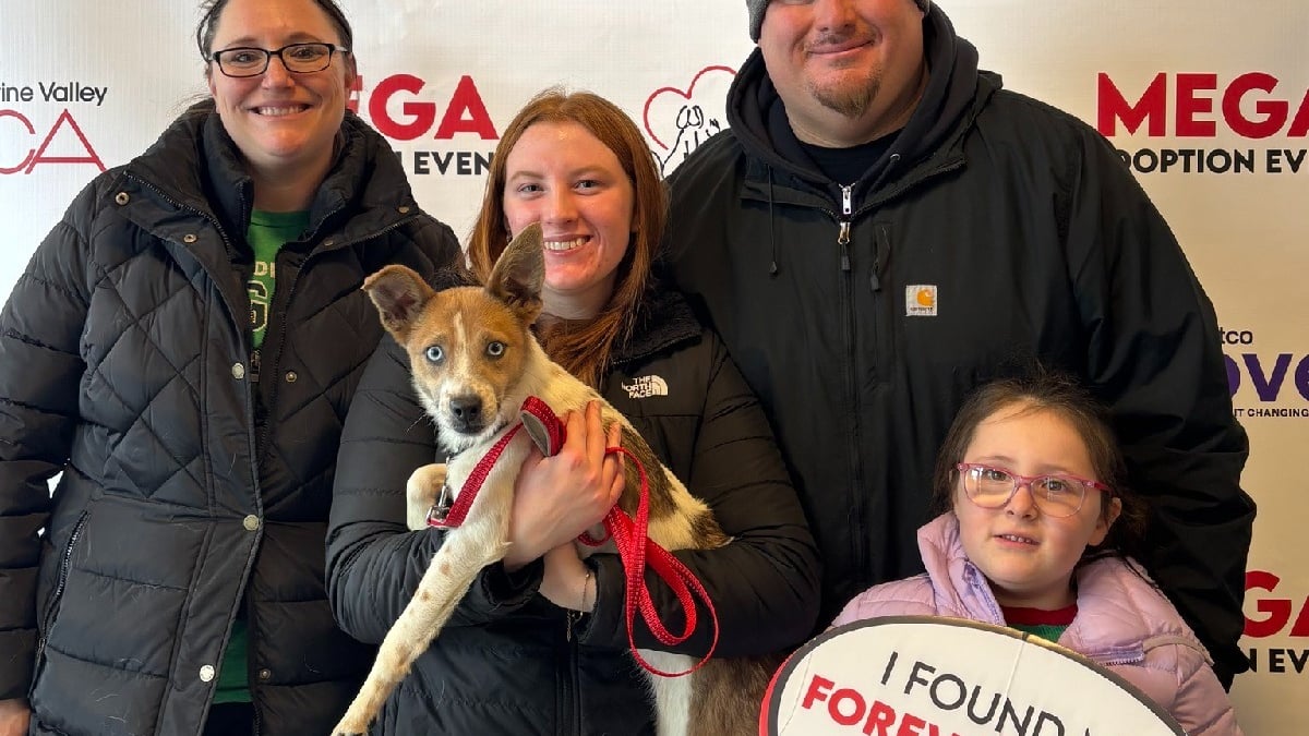 Illustration : "A l’approche des fêtes, des familles se mobilisent massivement lors d’un weekend d’adoption et offrent un nouveau départ à près de 1 000 animaux"