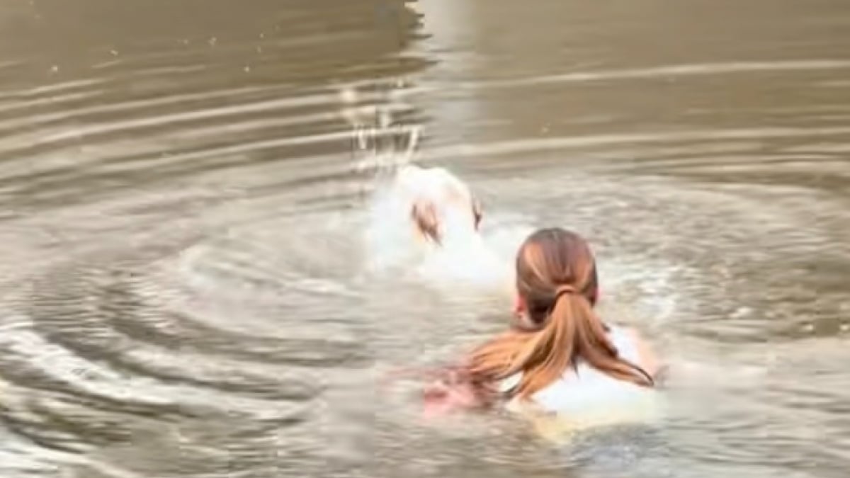 Illustration : "« Je n'y ai même pas réfléchi », une coiffeuse voit une chienne lutter dans un canal et plonge sans hésiter dans l'eau glacée pour la sauver (vidéo)"