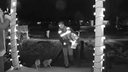 Illustration : Un livreur partage un bref moment de tendresse avec 3 chats, leur ma&icirc;tresse &eacute;mue veut l'honorer pour son geste (vid&eacute;o) 