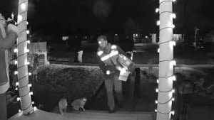 Illustration : Un livreur partage un bref moment de tendresse avec 3 chats, leur maîtresse émue veut l'honorer pour son geste (vidéo) 