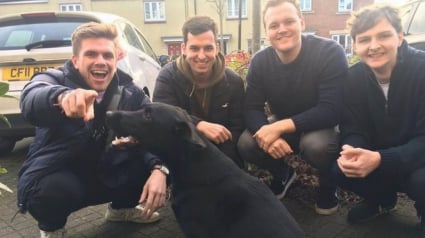 Illustration : Priv&eacute;s d&rsquo;animal, 4 amis &eacute;crivent &agrave; leur voisin pour promener son chien et re&ccedil;oivent une r&eacute;ponse absolument adorable