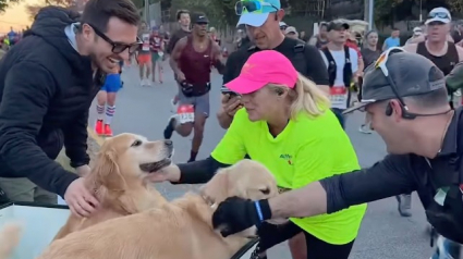 Illustration : Gr&acirc;ce &agrave; 2 adorables Golden Retrievers, les coureurs &eacute;puis&eacute;s d&rsquo;un marathon trouvent un regain de motivation (vid&eacute;o)