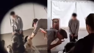 Illustration : Des images choquantes publi&eacute;es par PETA r&eacute;v&egrave;lent la d&eacute;tresse des chiens entra&icirc;n&eacute;s pour un spectacle &agrave; Europa-Park, qui annonce sa d&eacute;cision